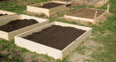 Jak můžete krásně a levně oplotit postele v zemi vlastními rukama?